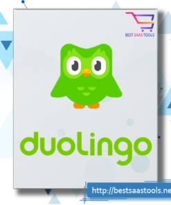 Duolingo learn English for school