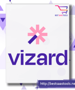 Vizard Ai