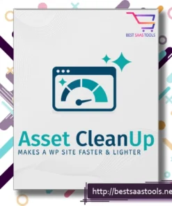 Asset Cleanup Pro